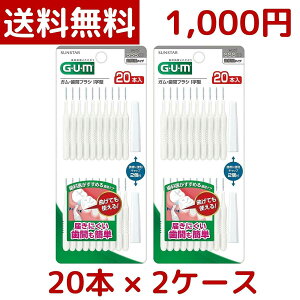 y1000~|bLzy[ zTX^[ GUMԃuV I^ SSS 20P x 2 SUNSTAR 悤 f^PA  PA X[ TCY o N[jO a \h Costco RXgR