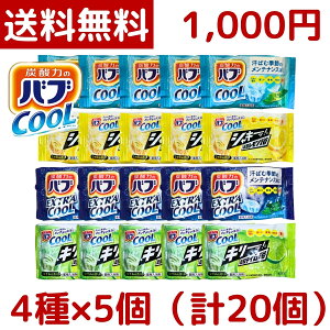 y1000~|bLzy[ zou N[ p 4̍ 20i4×5jԉ COOL  |Cg RXgR COSTCO