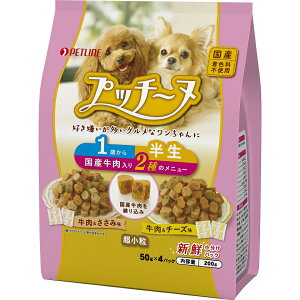 TCY vb`[k  1΂ Y 200g ܖ2026/2/28