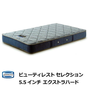 y|Cg20{zyVizVY}bgX 5.5C`GNXgn[h VO Z~_u _u NC[ VYxbh r[eBXgZNV 5.5inch Extra Hard AB2121A