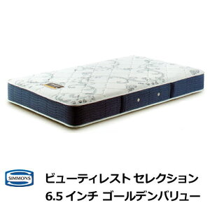 y|Cg20{zyVizVY }bgX 6.5C`S[fo[ VO Z~_u _u NC[ VYxbh r[eBXgZNV AB2111A