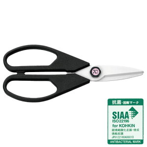 ylR|X֑250~zFOREVER RۃZ~bN  (COS-HWBF) ubN nT~ tH[Go[ R Lb` H  ͂