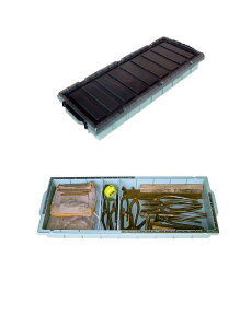 H{bNX #255@wEEEȎځEƓ