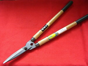 hEJ (No.0102) V-165 }ȒPɐؒfI