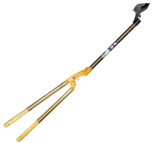 jVKLH  1500 N-154 }؂oT~  ͂ ʎ