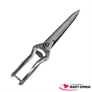 fBt[ (S-7) tO I[XeX 135mmn n Ў芠 { aؐ쏊