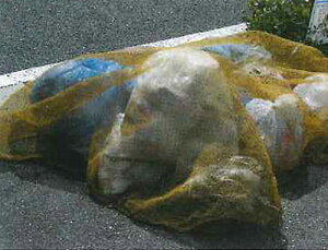 JvTCVS~Ԃlbg (EG-37) 2×3m WϏp h JX悯 JX΍ S~lbg