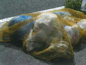 JvTCVS~Ԃlbg (EG-39) 3×4m WϏp h JX悯 JX΍ S~lbg