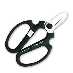 ylR|X֑250~z⌹  nhNG[VyXO[z 170mm F-170 tbfH nP[Xt ԉ  XN[ ObhfUC y̓z