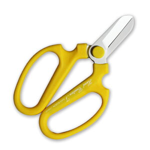 ylR|X֑250~z⌹  nhNG[V L[g 160mm CG[ ͂ nT~ tbfH ԉ  XN[ ObhfUC y̓z