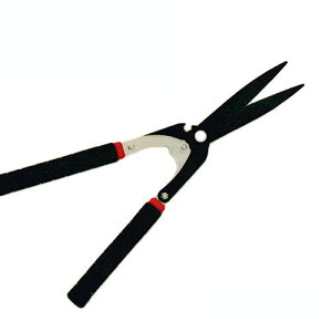 J}L  JU No.520 y { ͂ nT~ Kamaki