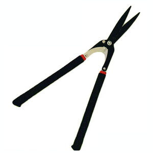 J}L  JU No.570 y { ͂ nT~ Kamaki