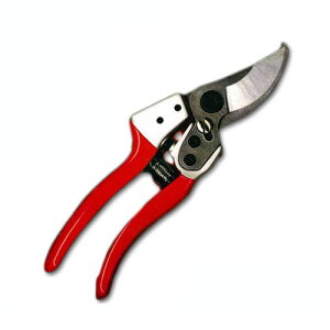 J}L  No.888 n[hNbL A~nh Kamaki