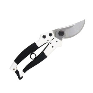 J}L  A~_CJXg vp֐n Ȑn  P870 | K[fjO  ͂ ̂