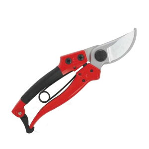 J}L ͌^  A~_CJXg Ȑn P870B | K[fjO  ͂ ̂