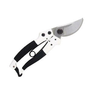 J}L  A~_CJXg vp֐n Ȑn  P880 | K[fjO  ͂ ̂