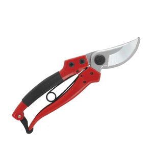 J}L ͌^  A~_CJXg Ȑn P880B | K[fjO  ͂ ̂