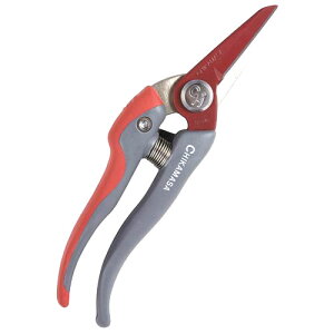 ߐ Egb\G TS-66B ͂  tbfH   t[AWgy̓z