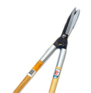 hEJ (No.0101-1) pC OpCv }؃oT~