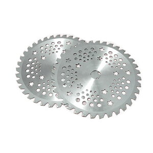 dBElvX 230mm×36P (2g) 4ʌ  `bv\[  @p `bv\[