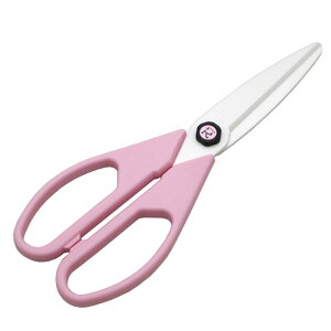 ylR|X֑250~zFOREVER RۃZ~bN  (COL-HWP) sN nT~ tH[Go[ R Lb` H ͂