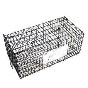 lY~ߊl ()  ˂ݕ߂ ubN l߂ Qb쏜ɁII lY~߂