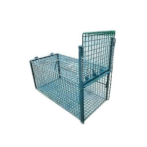 ߊl C[W[Lb`[ RK10F [ΐF 380×400×800mm Qb쏜 k[gA ACO} AiO} nNrV L