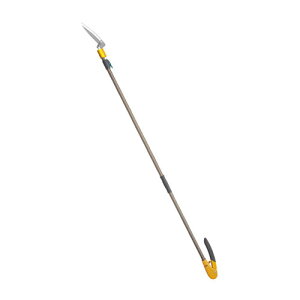 TV rvbVJbg 2i} No.525 }؂oT~ ͂ |