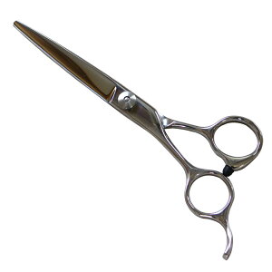  XeXU p 160mm No.2500 ͂ nT~