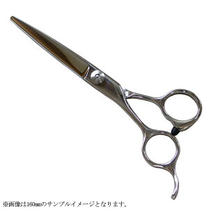  XeXU p 180mm No.2500 ͂ nT~