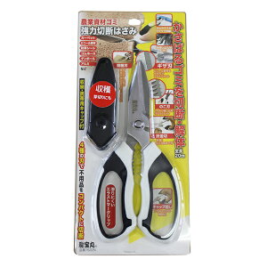 ylR|X֑250~z (No.1522N) _ƎރS~ ͐ؒf͂ nT~ S~ ؒf 