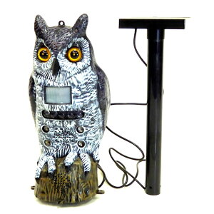 bXiCp[ SP-1017 EEg hEhb Qb΍ObY _|