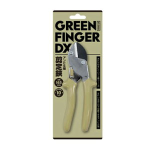 GF-DXAr^yGF-D165AzЎR  nT~ ͂ tbf