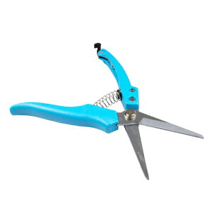 ylR|X֑250~zGF yʃv n (GF-210P) No.601357 O[tBK[