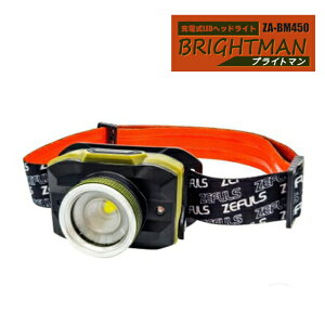 [tX uCg} (ZA-BM450) [dLEDhwbhCg ZEFULS  AEghA