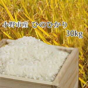 2025N H n V Ђ̂Ђ 30kg ɌdBY p①ɂɂėpۊǁI Ă͏oגOɐĂĂ͂I