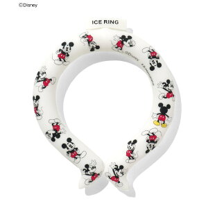 �A�C�X�����O ICE RING �f�B�Y�j�[ Disney SUO fo�C���^�[�i�V���i�� ���K�i �X�I ��l�p �q���p �}�} 28�� �v���[���g �l�b�N�N�[���[ a3y4152ss