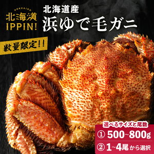 �l��� �уK�j �I�ׂ�傫���E���� �ъI�i��500g�`��800g�j 1���`4�� �Ⓚ �уK�j ���� �J�j �I �ъI �Ⓚ �k�C���Y �I�z�[�c�N