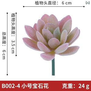 ���i�摜
