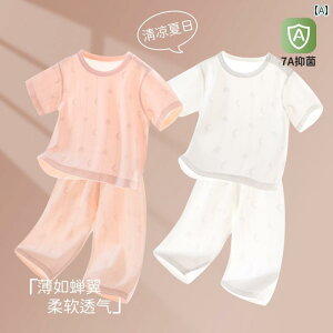 xr[ pW} K xr[ X[c Xvbg T}[  Rbg j̎q ̎q pW} qp  Nbvhpc  