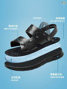 SnQ Y T_ Aokang YV[Y 2025 Y pp v ʋC JWA r[` V[Y ~ \tg {g T_