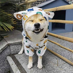 p  ybg  CR[ĝ N} h  Č R[M[ efB t J J   U ܂