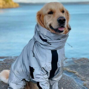 p  p CR[g WPbg  ^ ^  S[fgo[ {[_[R[ l  t Jo[ h ybg 