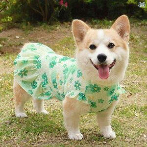 hbOEFA ^Ngbv  Č R[M[ rV efB   t  ʋC bV vZX XJ[g Ăh~ N[xXg