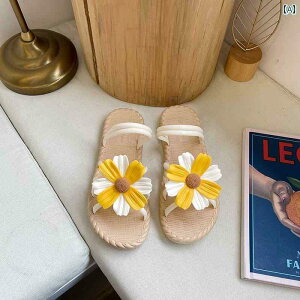 SnQ fB[X T_ 2025Ă O  p o T_ XJ[g t [} r[` V[Y tFA[ X^C Cӂ ~ Xbp