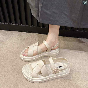 SnQ fB[X T_ fB[X T_  2025V X^C AEghA X|[c JWA \tg \[  ~ r[` [}