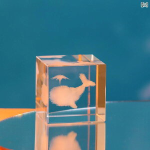 킢  G _   L[u  i ̗p  ׋   VN 蕨