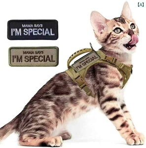 Lp n[lX [h Lp o [v `FXgn[lX EH[LO xXg ETMp [V Eɂ TCY ߉\