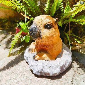  킢  K[fjO K[f oRj[ CAEg K[fjO fR[V 킢 OEhzbO fXN gbv qp z[ ANZT[ Mtg