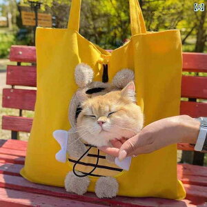 o Lp L[obO J[g L obO ΂ |  ^ yʑe 킢 y  莝 ^   o